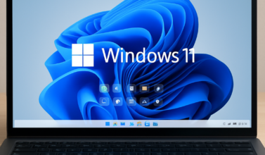 Blog Blog 1 1 377x220 - Blog