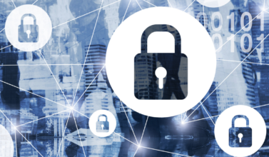 Blog Blog 1 2 377x220 - Blog