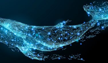 oct technology helping save oceans 377x220 - Blog