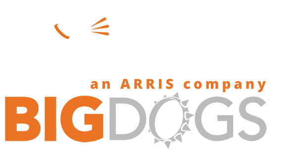 ruckus bigdog logo - Wireless Networking